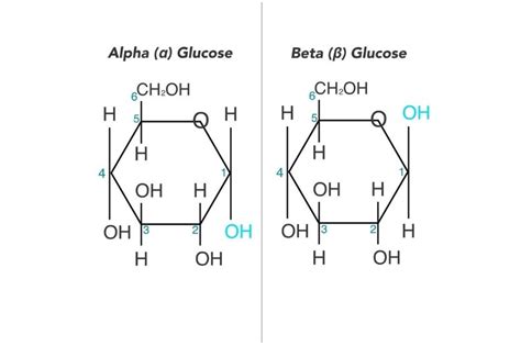 alpha glucose and beta glucose
